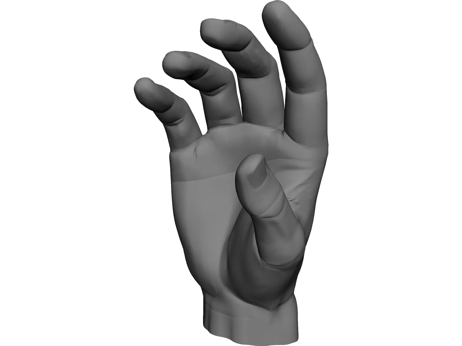 Hand 3D Model