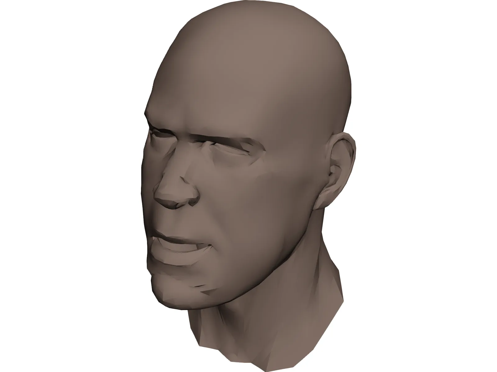 Human Head Face 3D Model