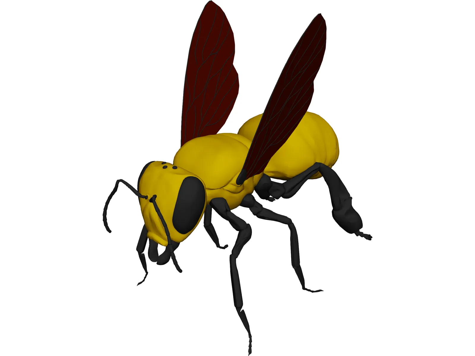 Bee 3D Model