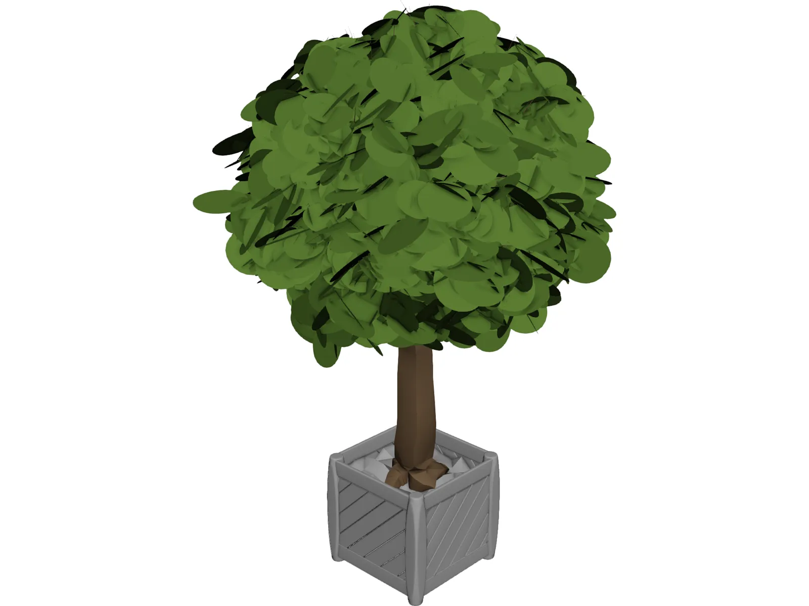 Tree 3D Model