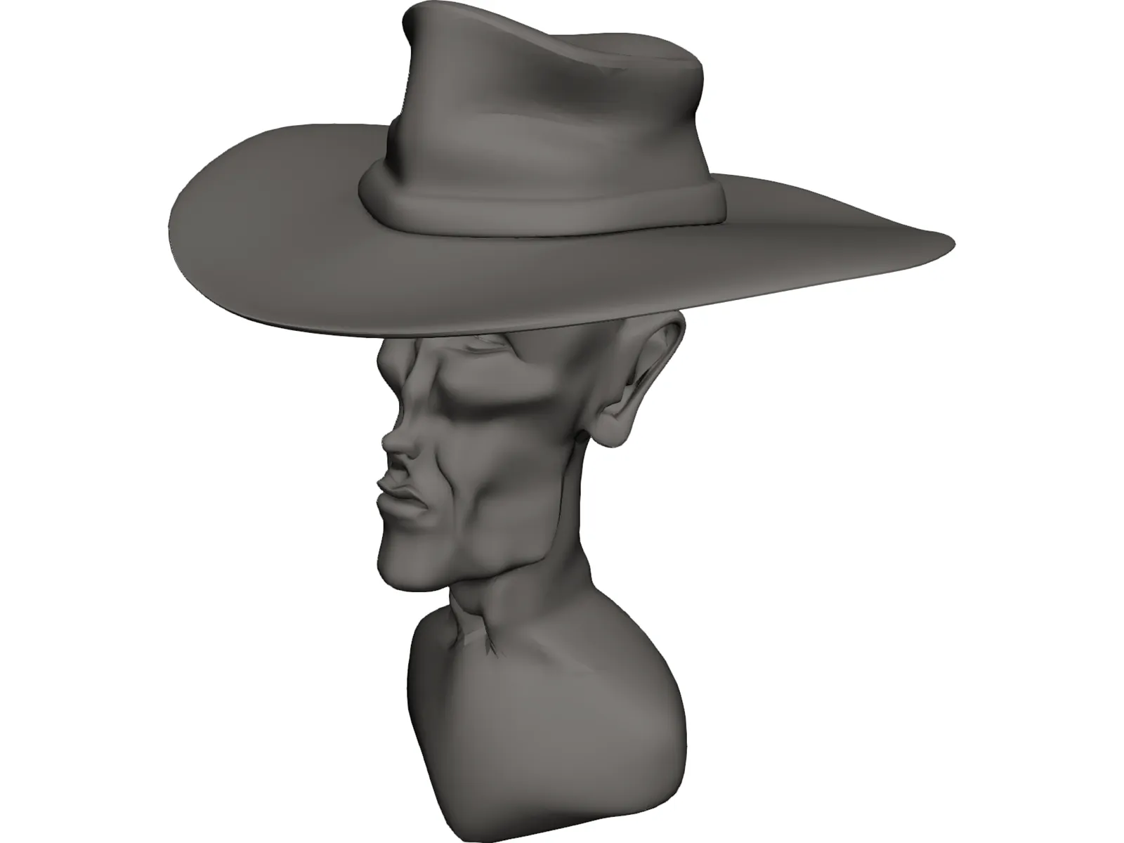 Cowboy Head 3D Model