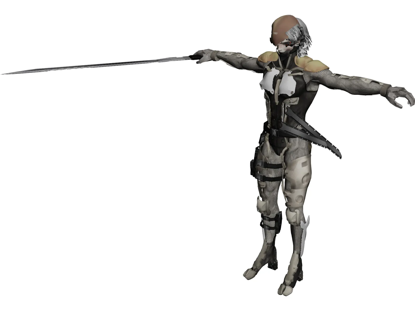 Raiden 3D Model