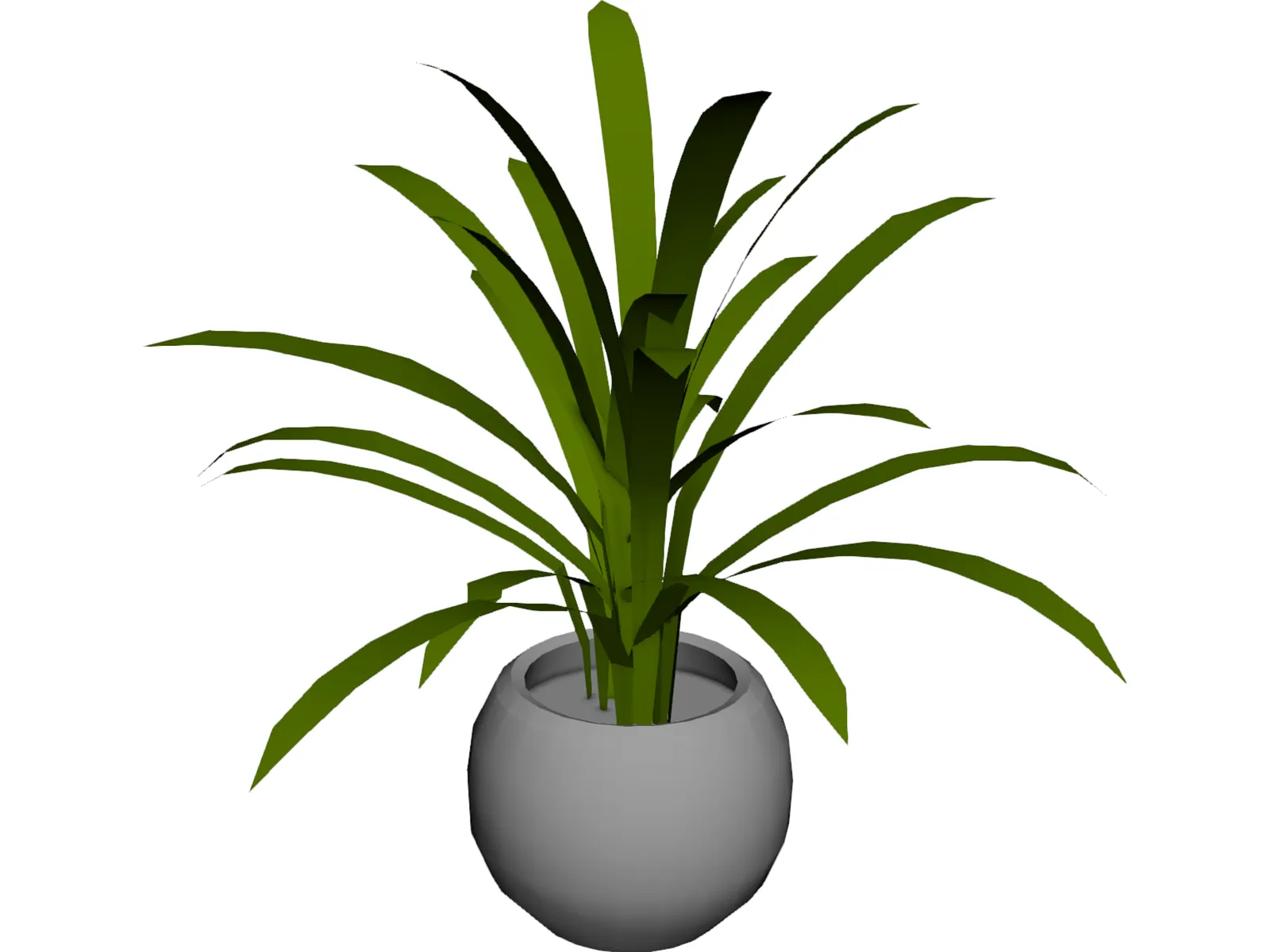 Plant in Pot 3D Model