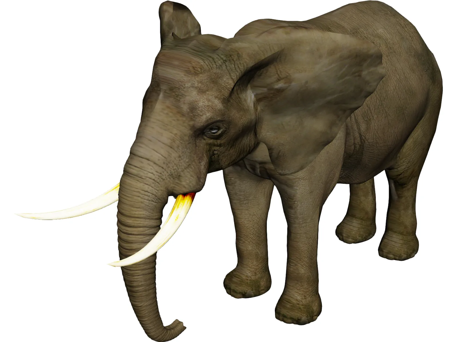 Elephant 3D Model