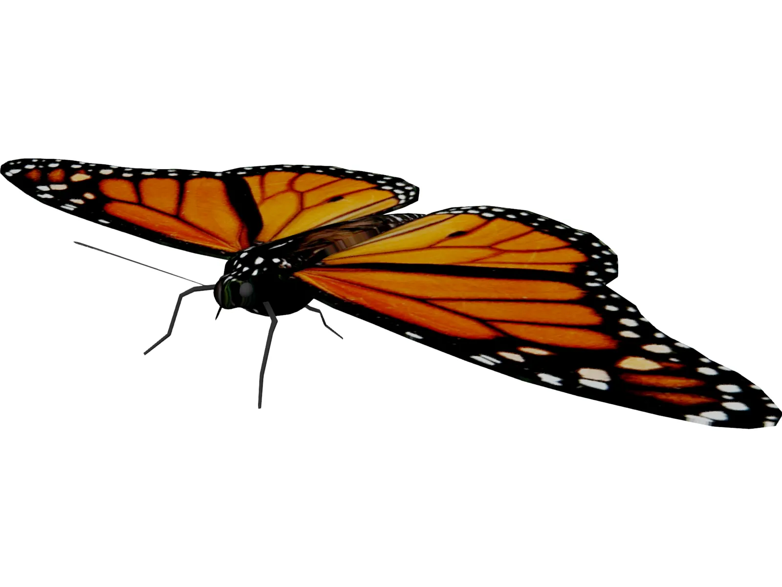 Butterfly 3D Model