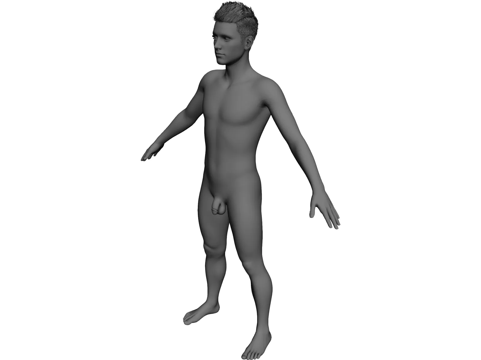 Male 3D Model