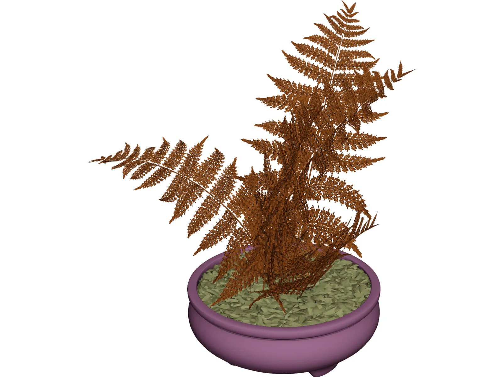 House Plant 3D Model