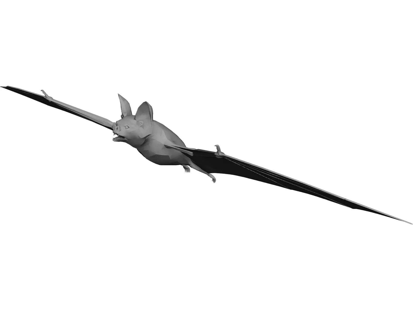 Bat 3D Model