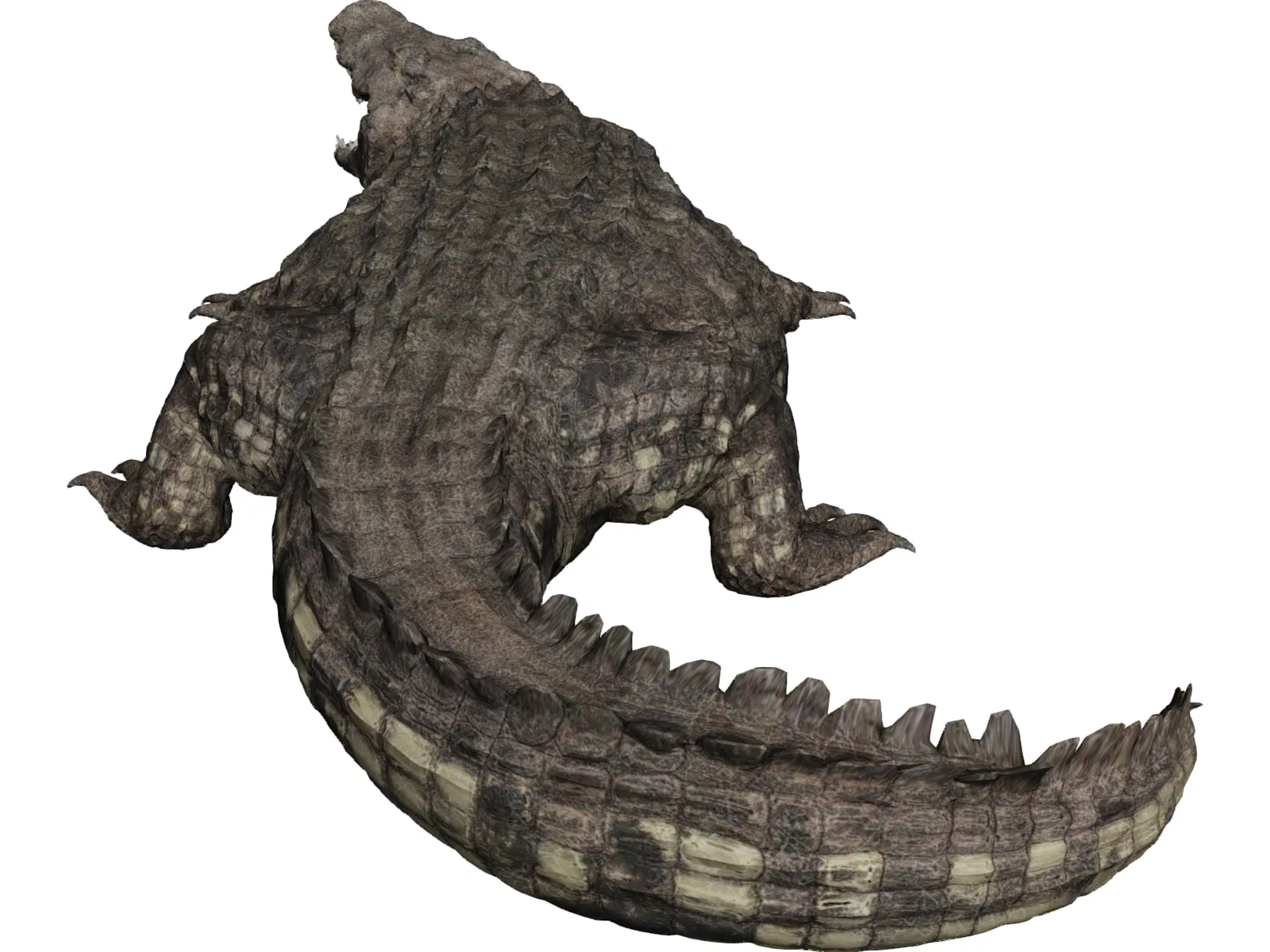 Crocodile 3D Model