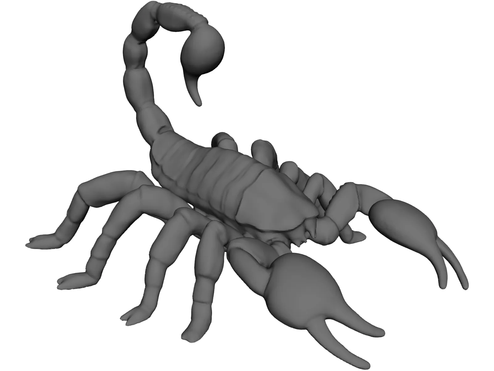 Scorpion 3D Model