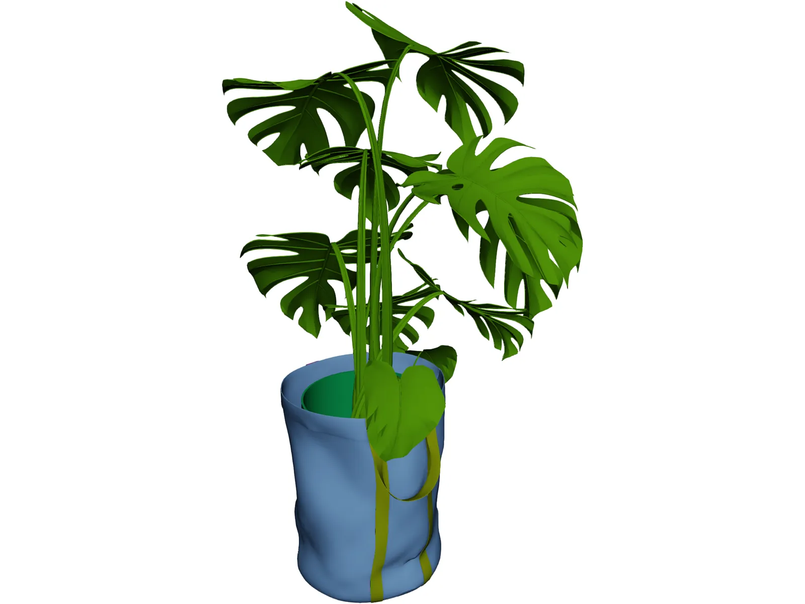 Monstera Deliciosa 3D Model