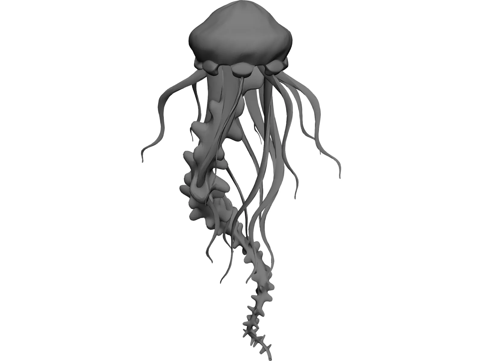 Jelly Fish 3D Model