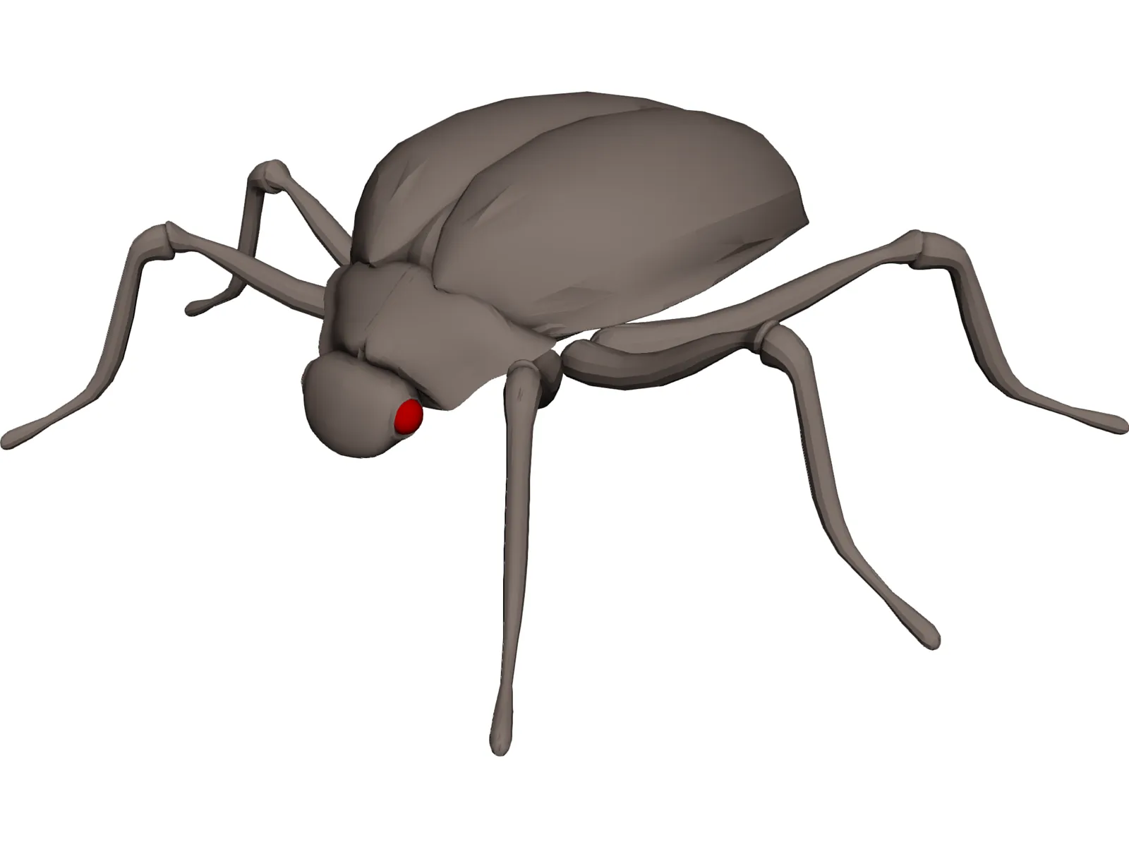 Bug 3D Model