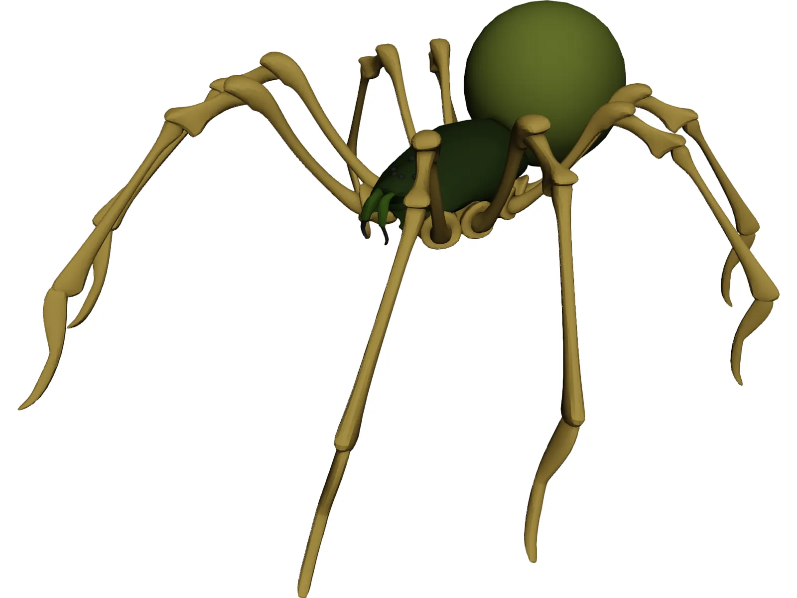 Spider 3D Model