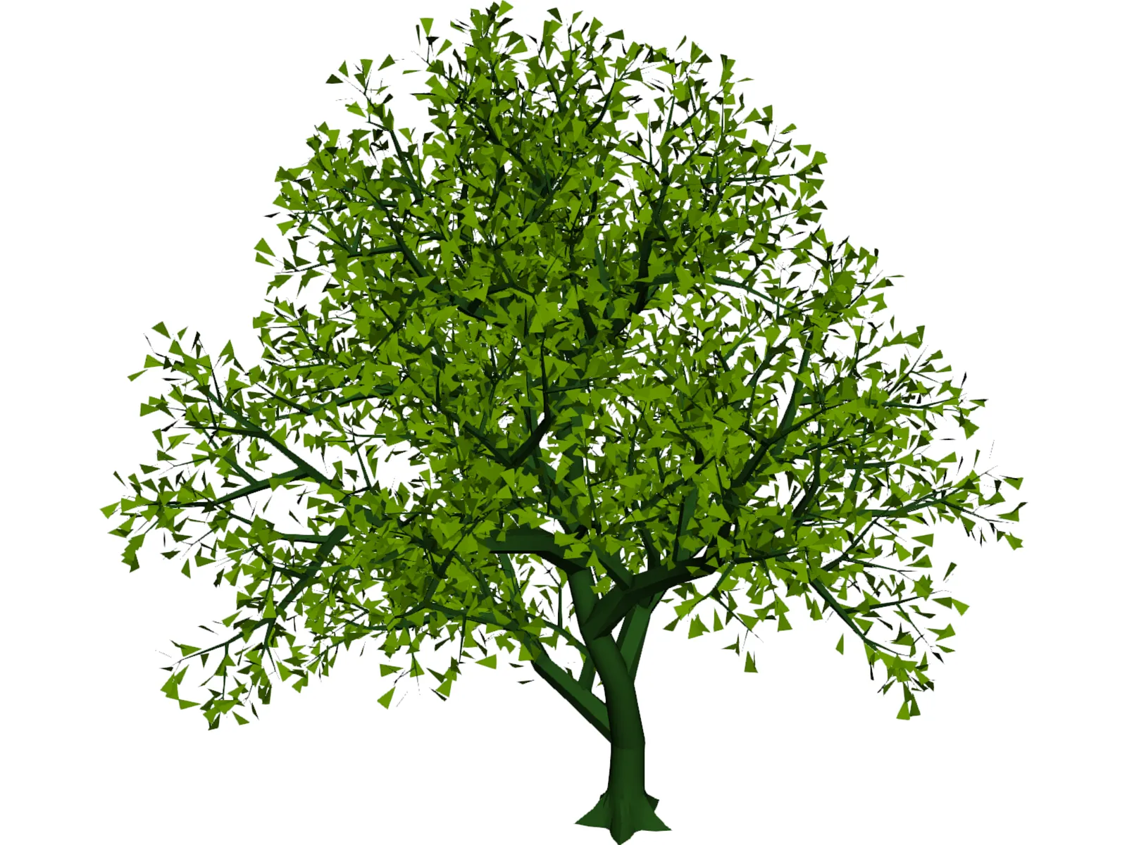 Lush Tree 3D Model