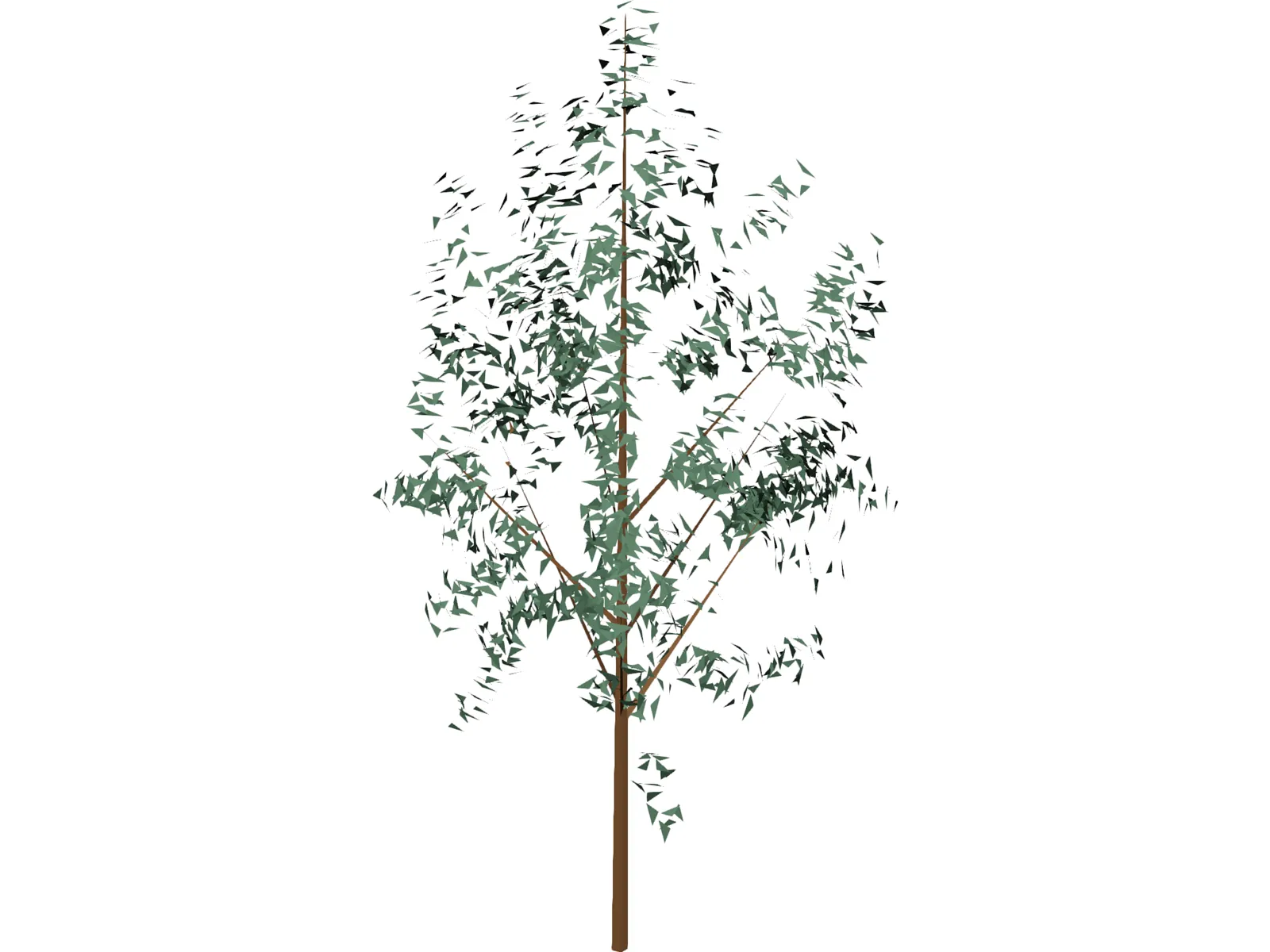 Tree 3D Model