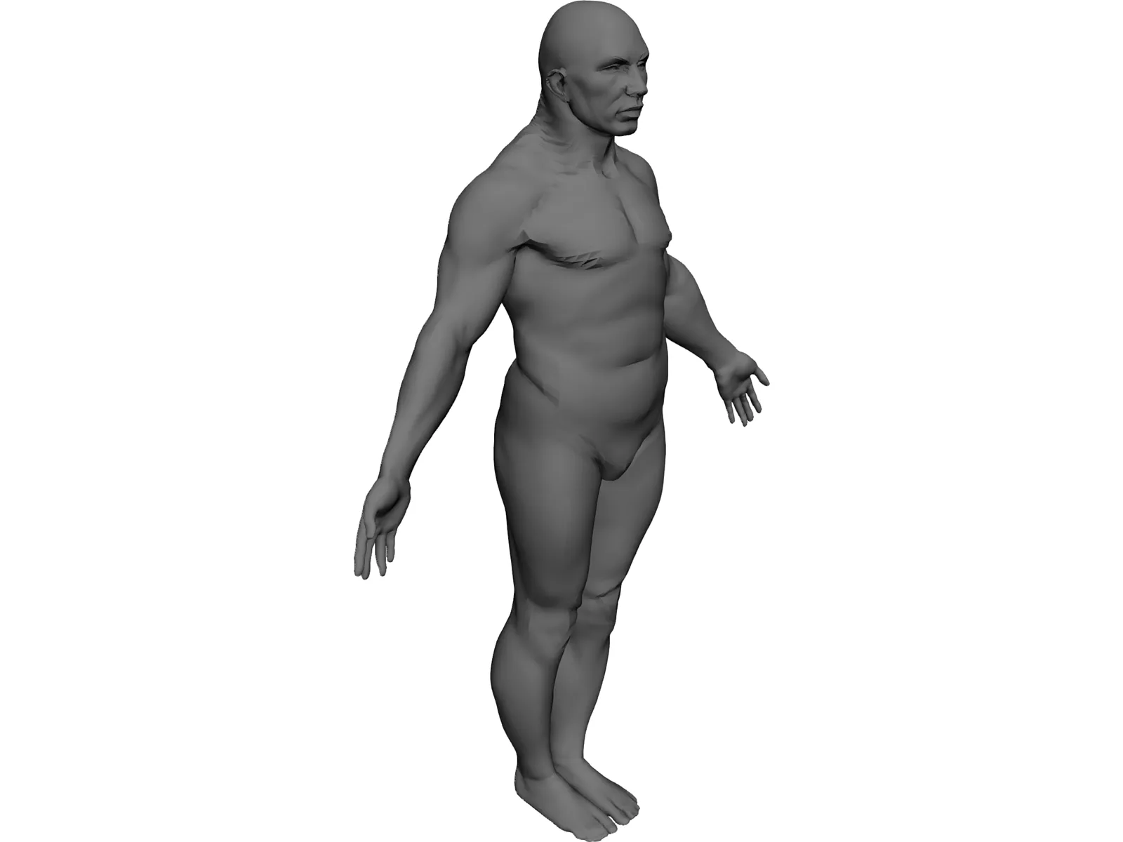 Male Human Figure 3D Model