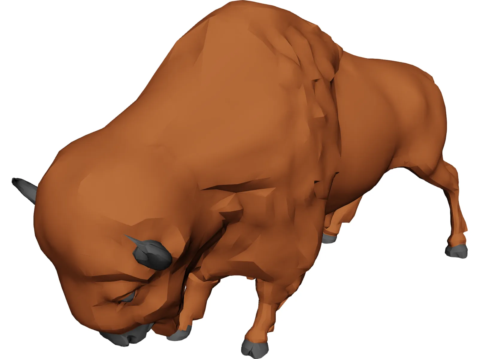 Buffalo 3D Model