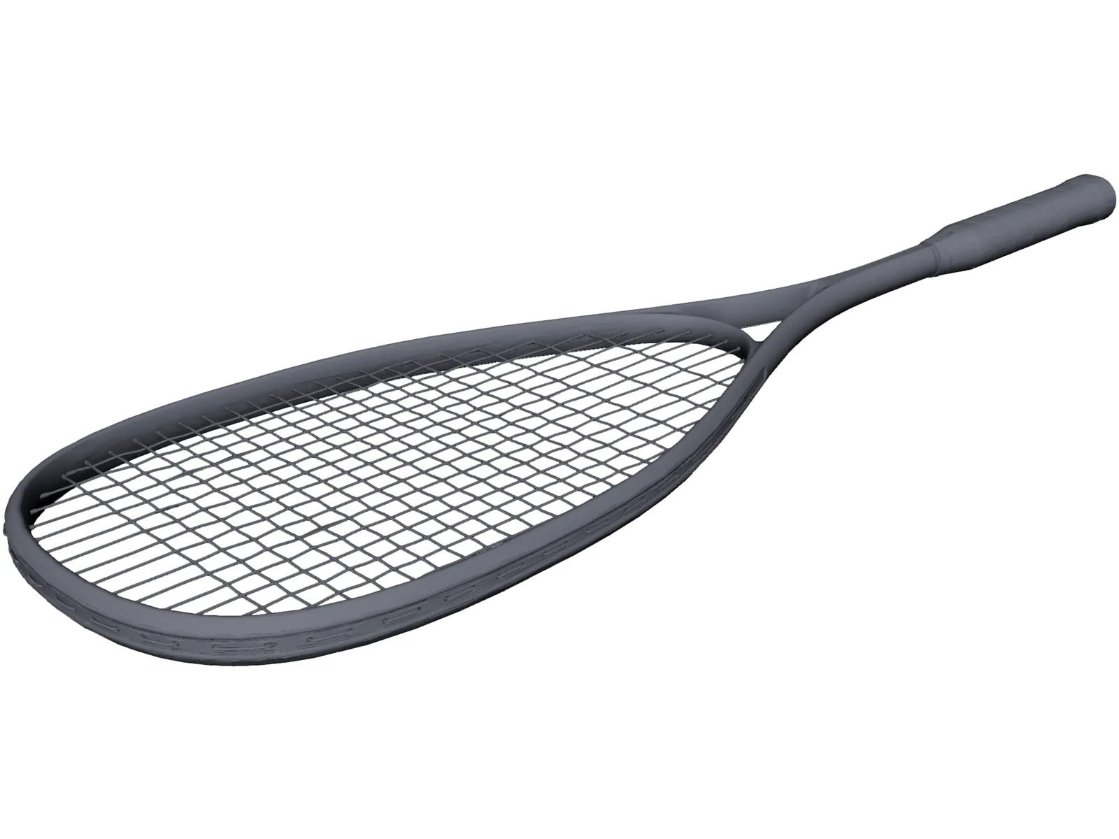 Squash Racket Dunlop 3D Model