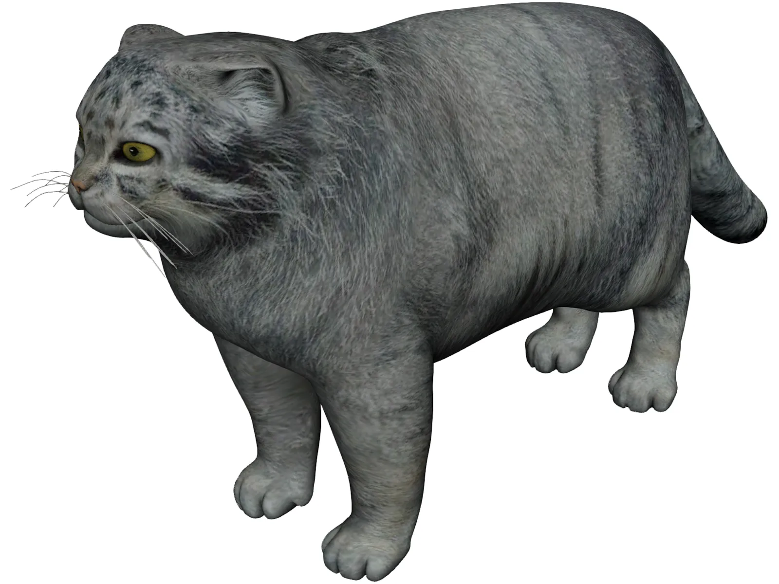 Pallas Cat 3D Model