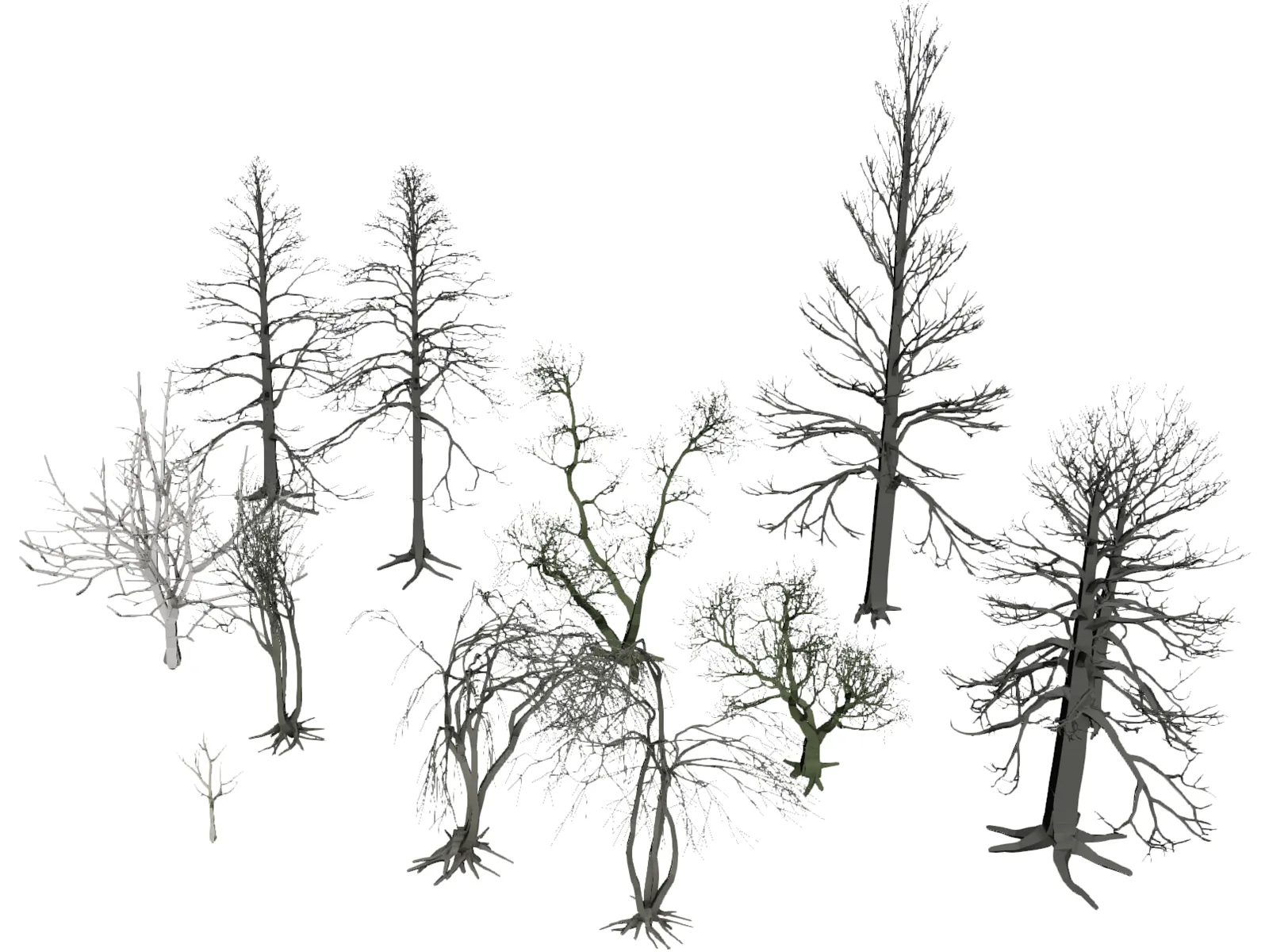 Dead Trees 3D Model