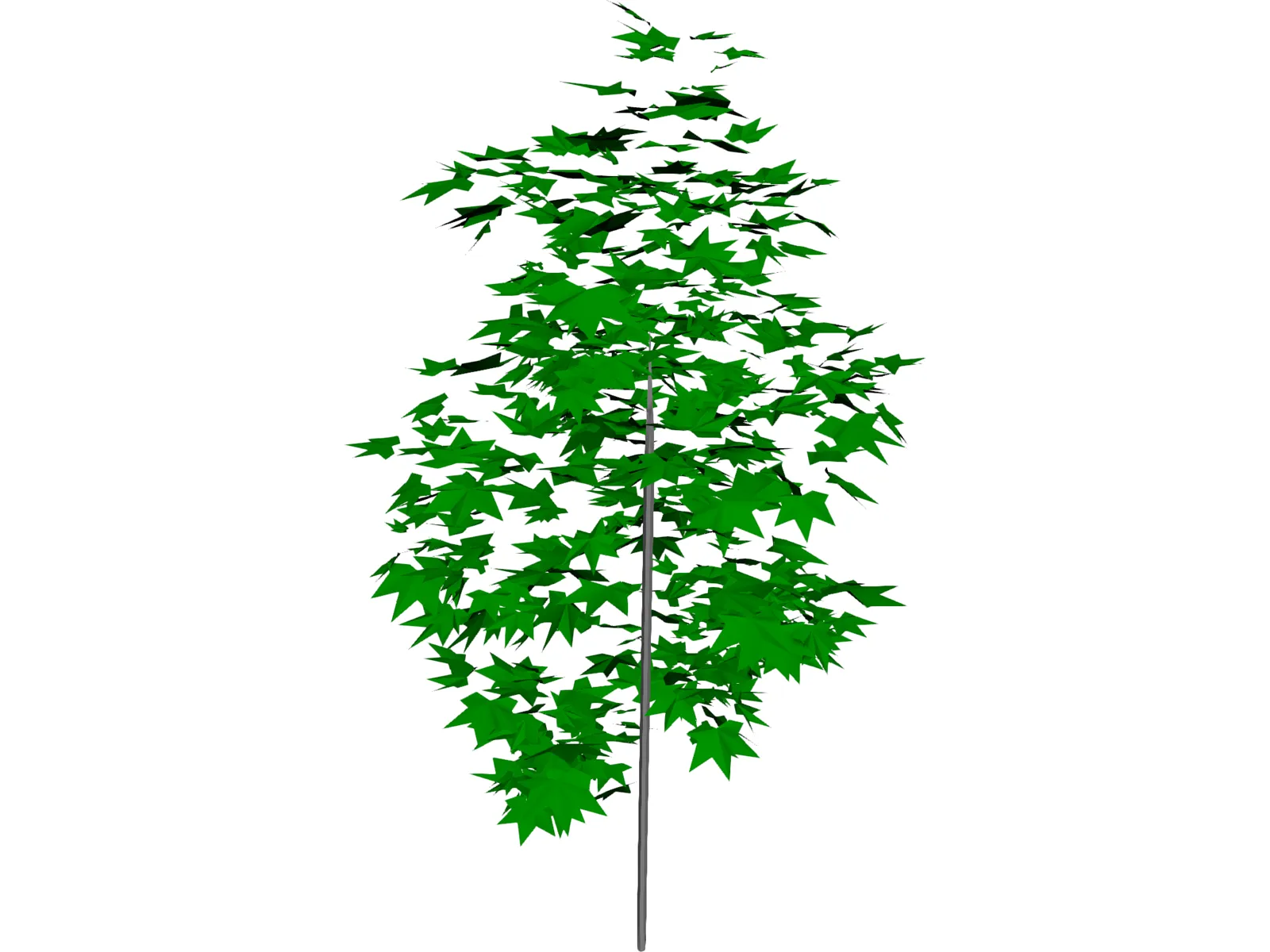 Tree 3D Model