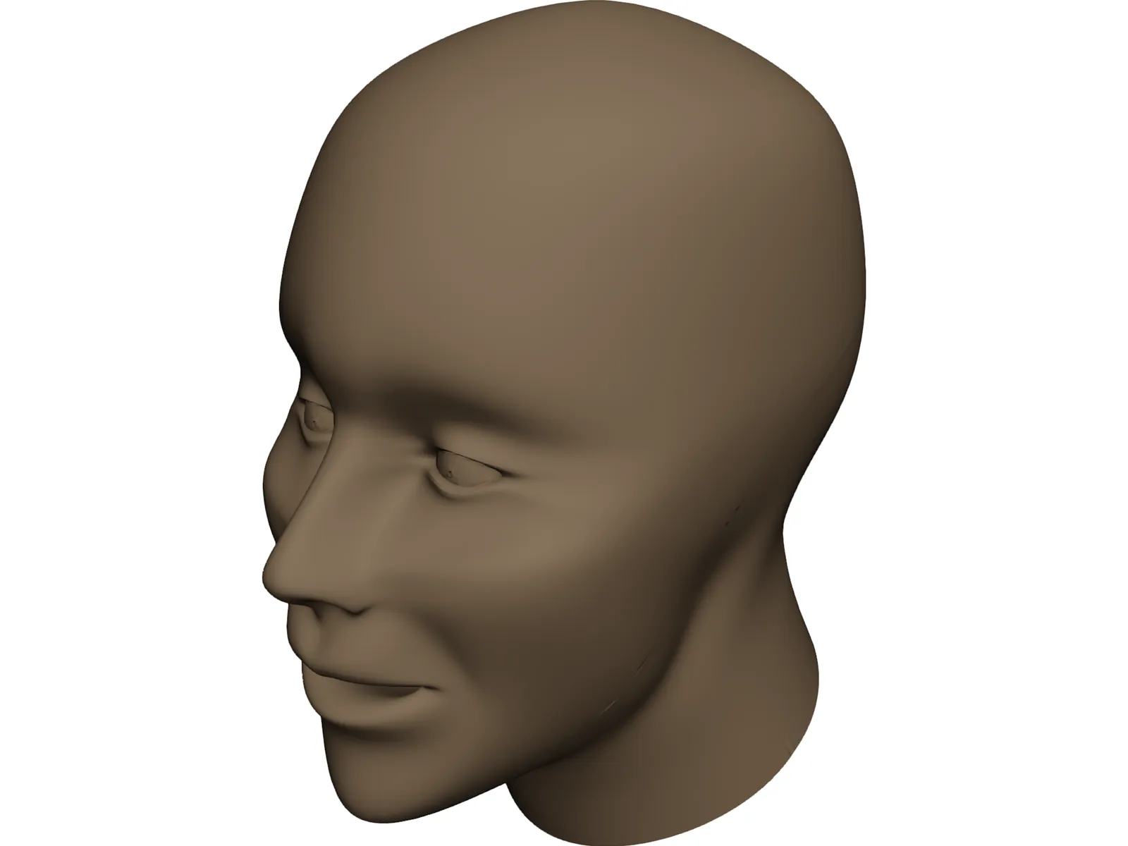 Human Head 3D Model