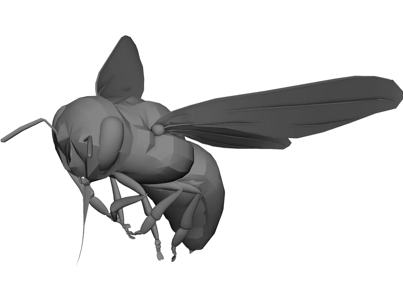 Bee 3D Model