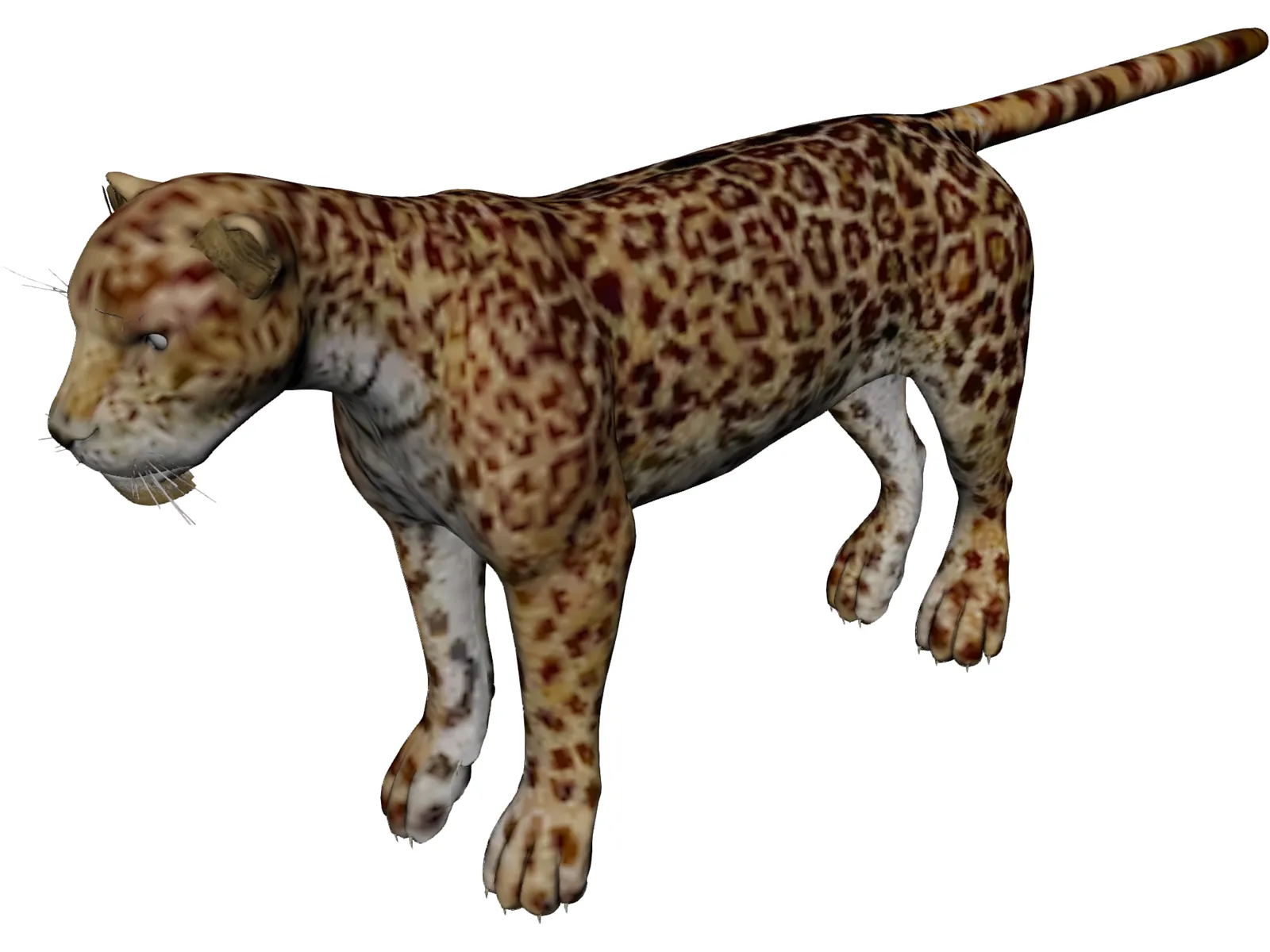 Jaguar 3D Model