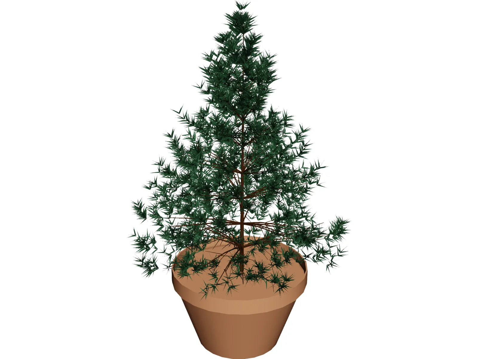 Potted Pine Tree 3D Model