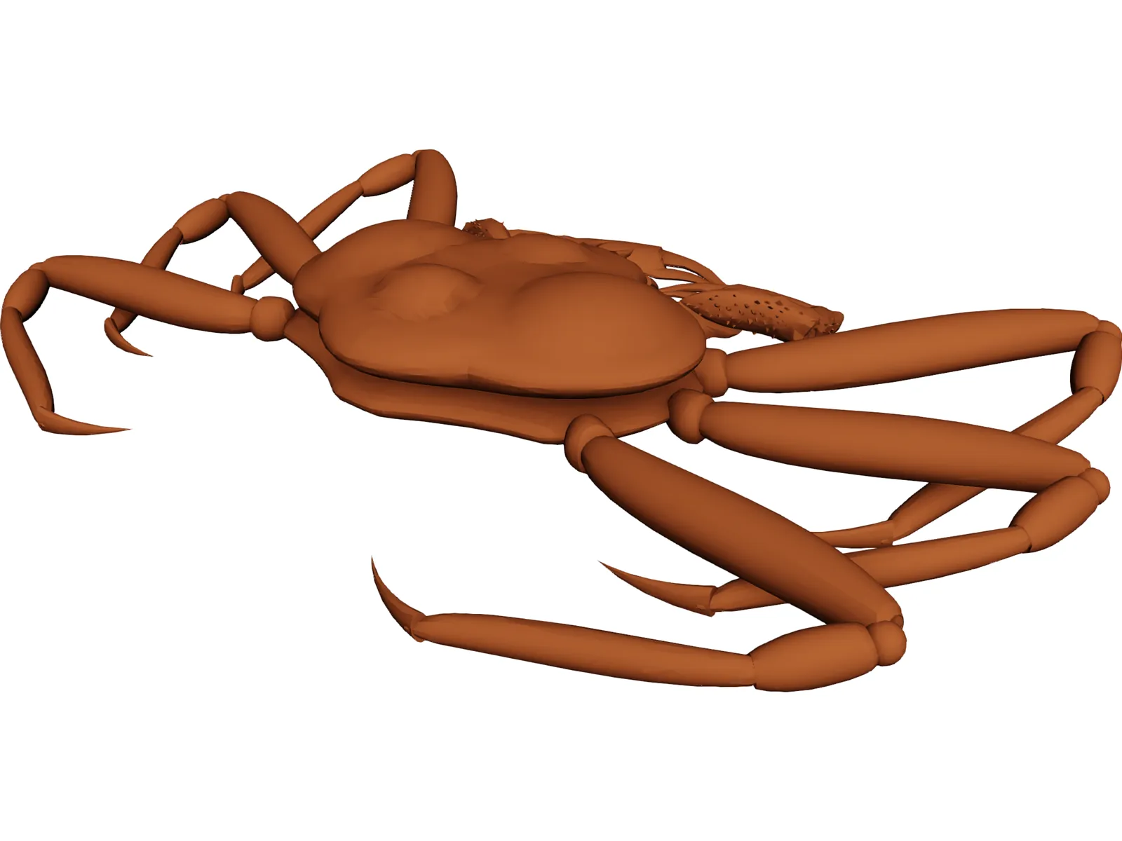 King Crab 3D Model