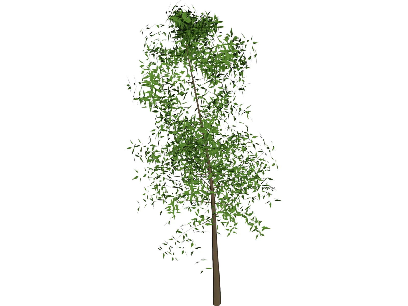 Tree 3D Model