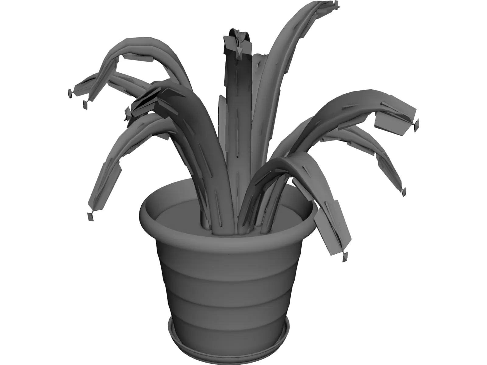 Aloe Plant in a Pot 3D Model