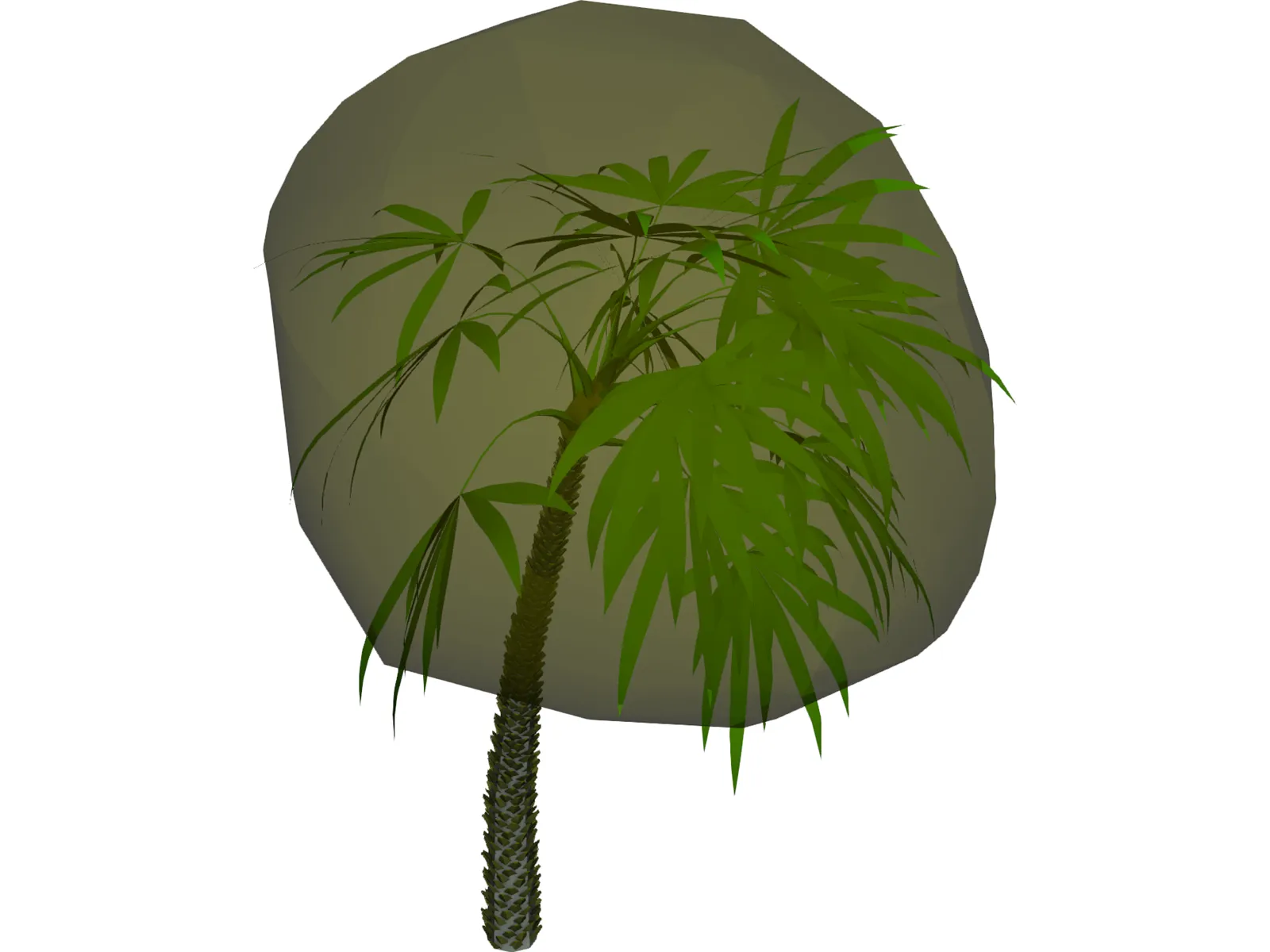 Palm 3D Model