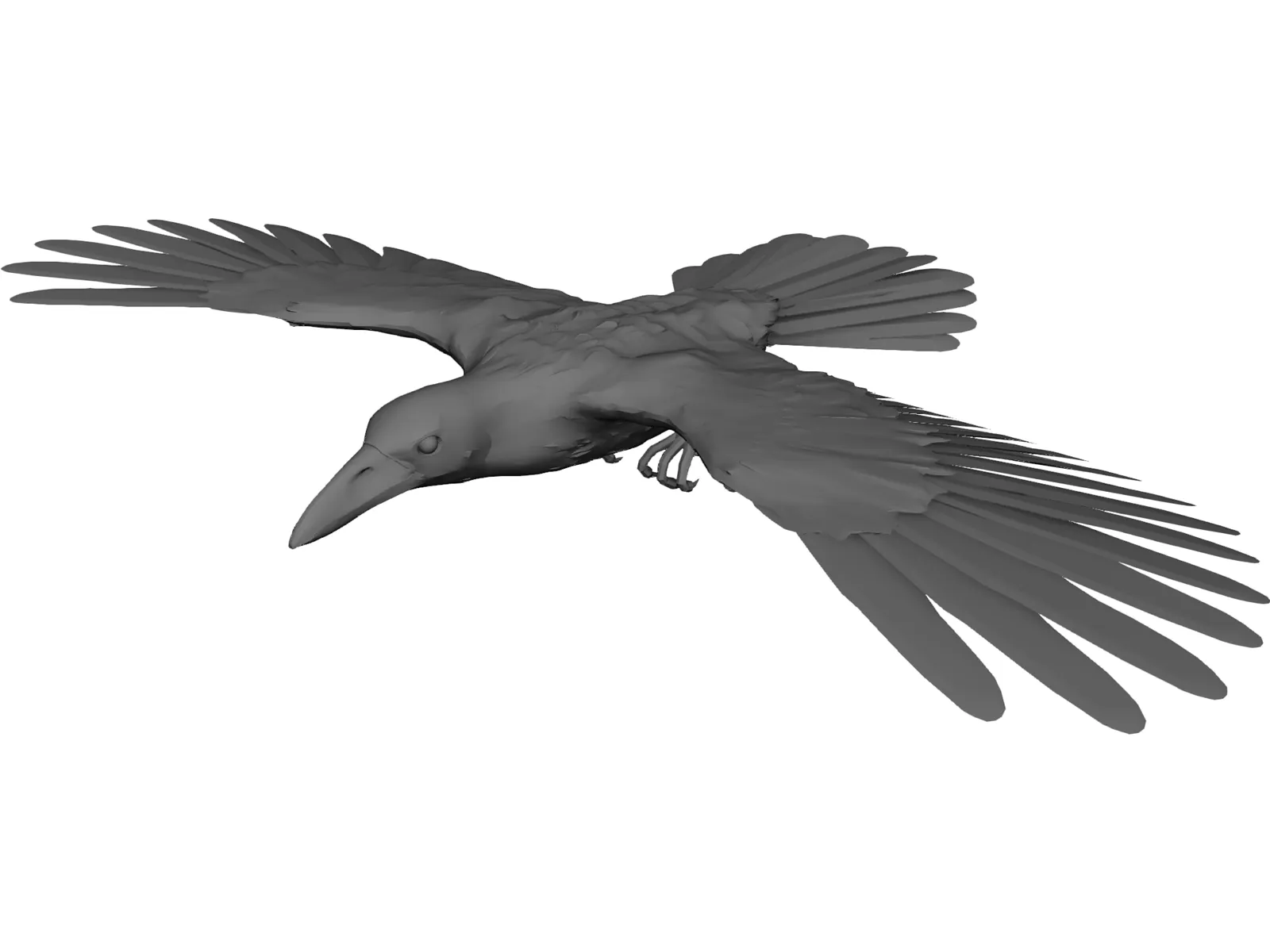 Raven 3D Model