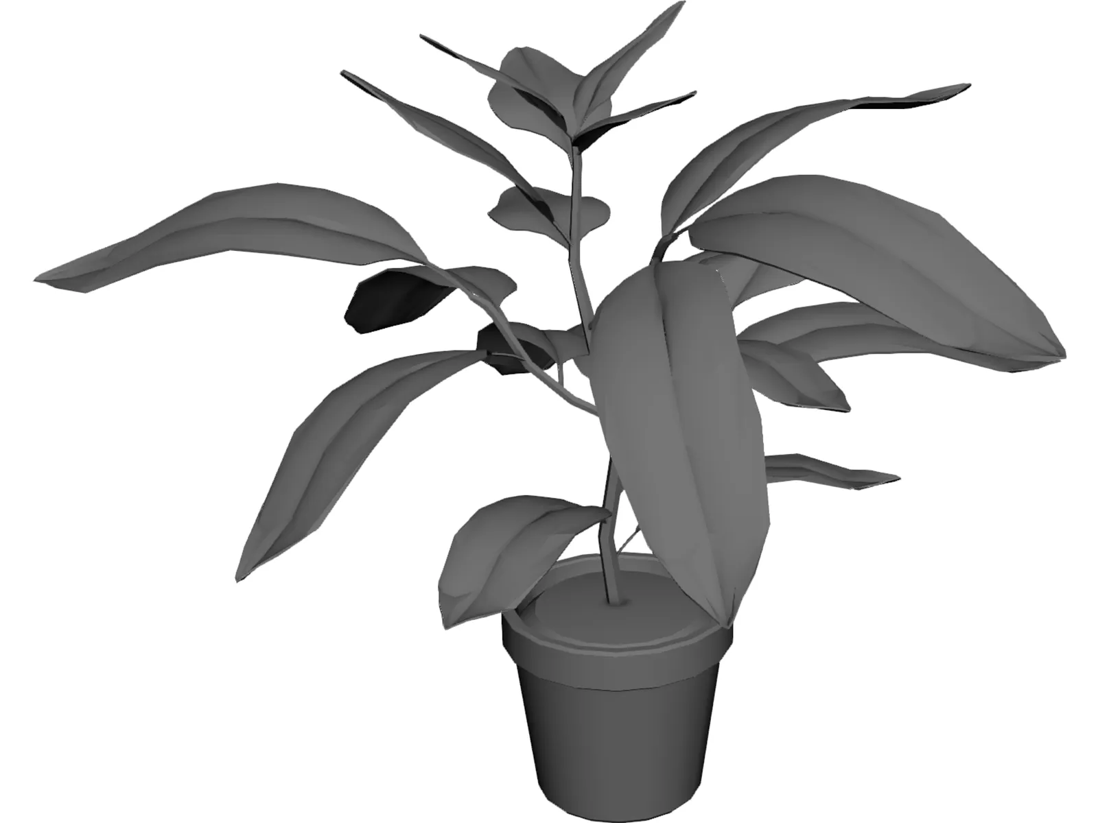 Houseplants 3D Model