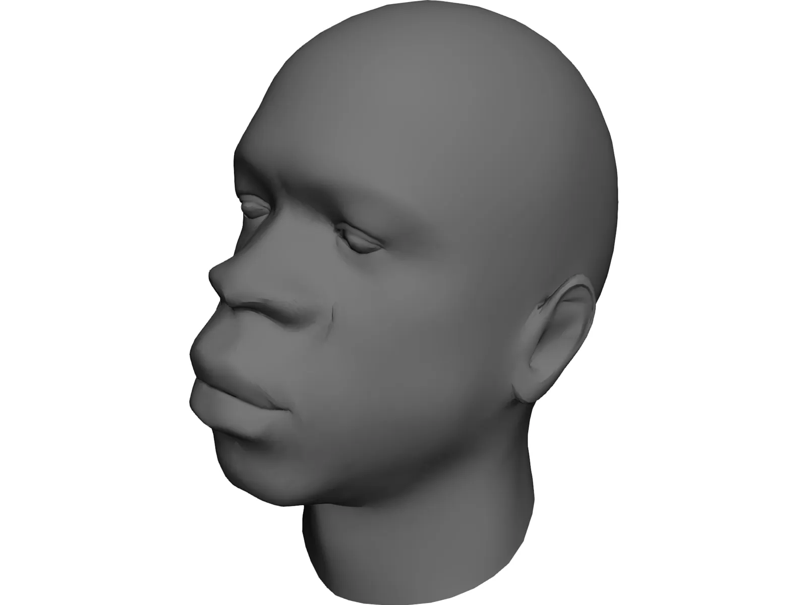 Head African Male 3D Model