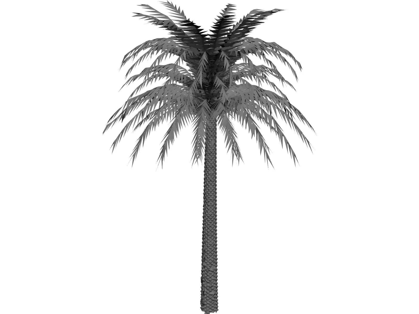 Tree Palm 3D Model