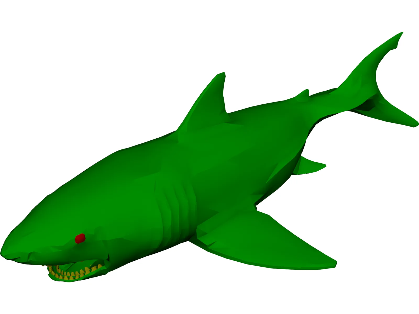 Shark 3D Model