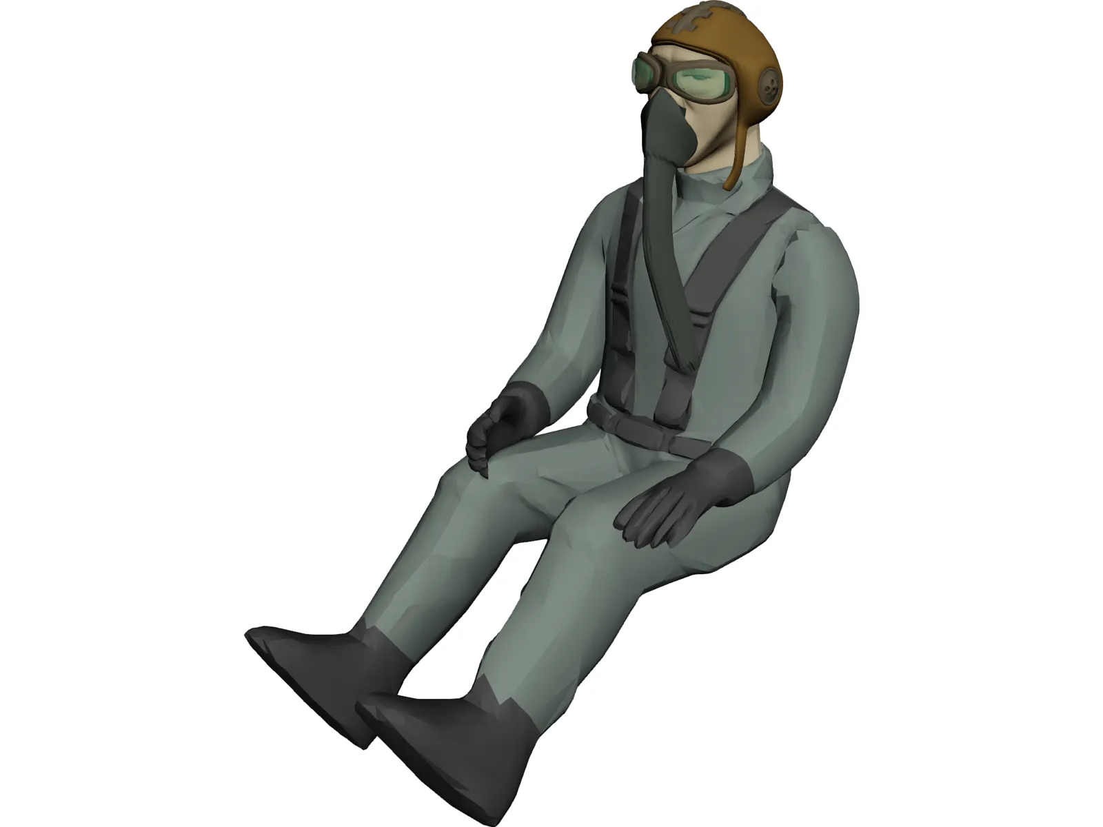 IIWW Pilot 3D Model