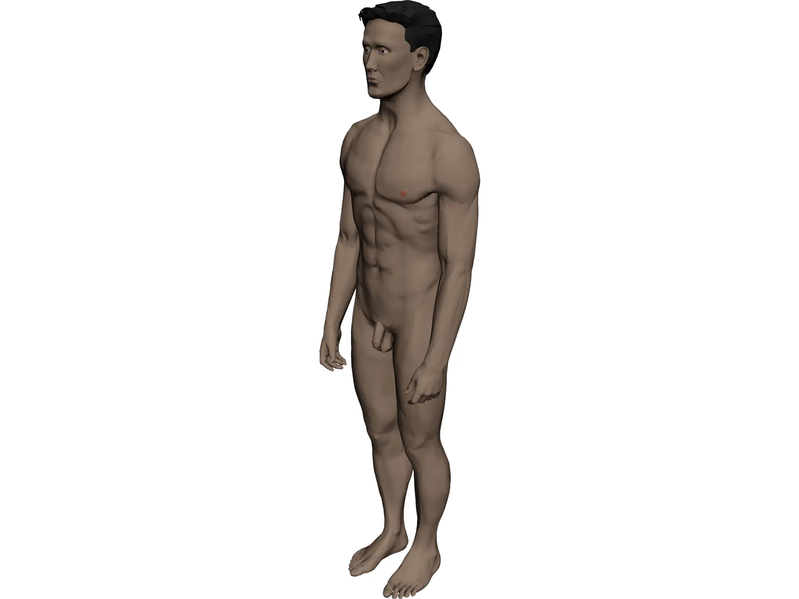 Man 3D Model