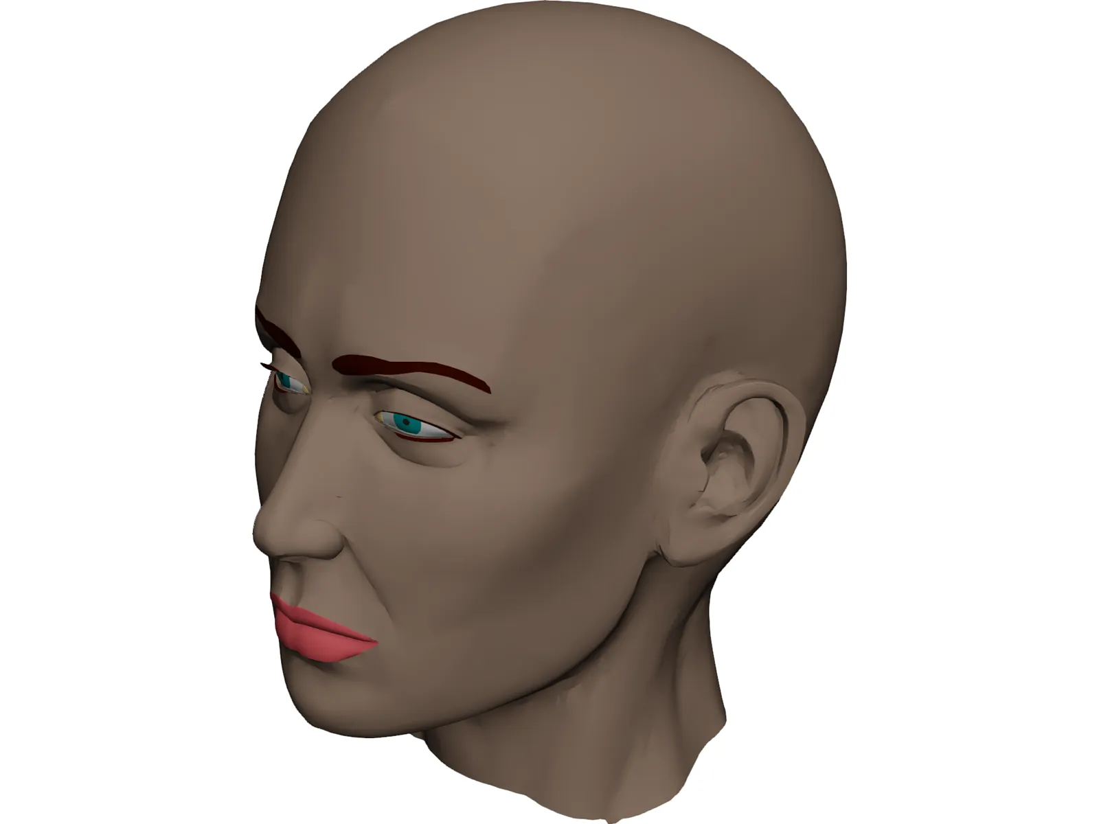 Head Female 3D Model