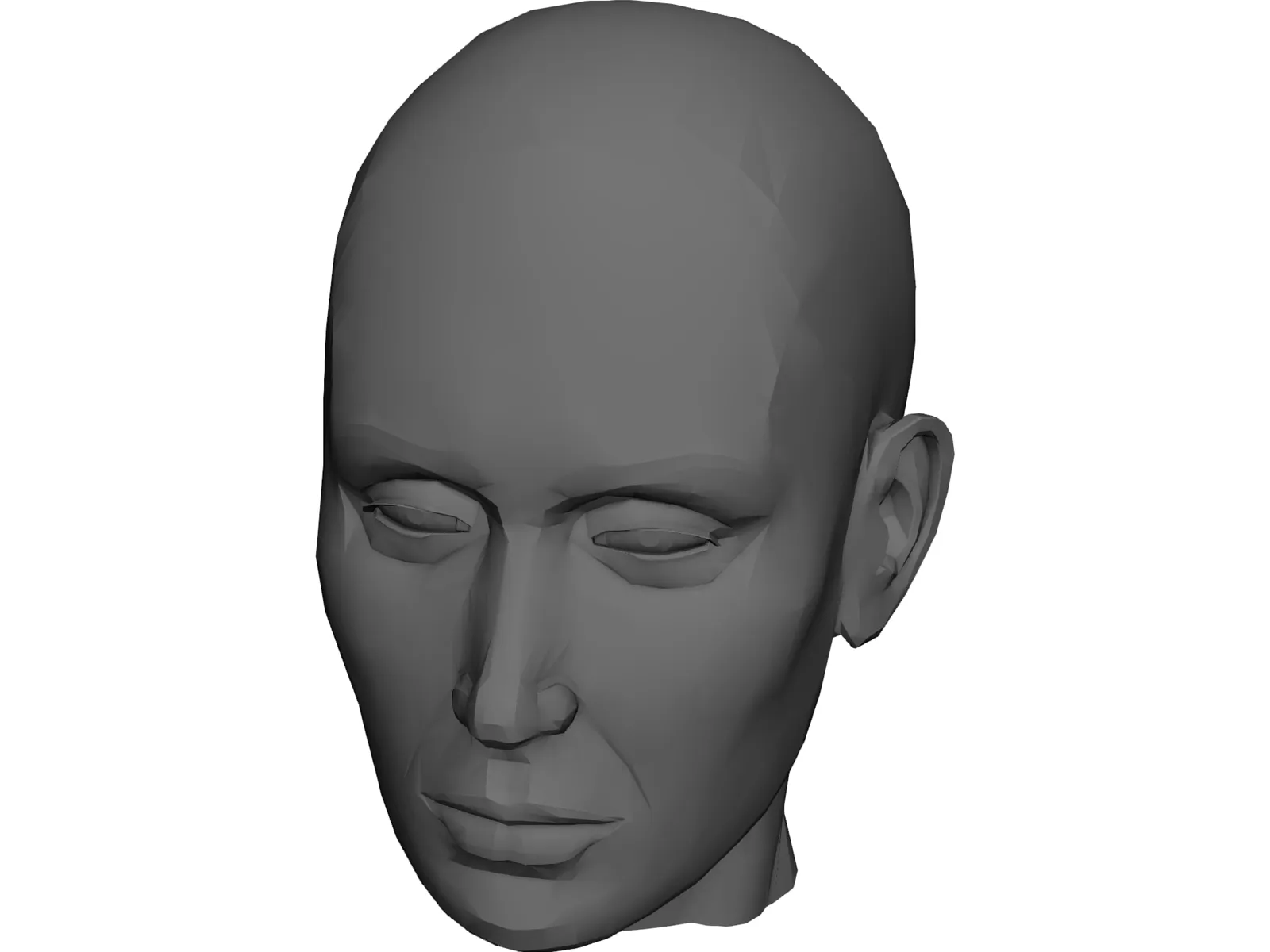 Head Female 3D Model