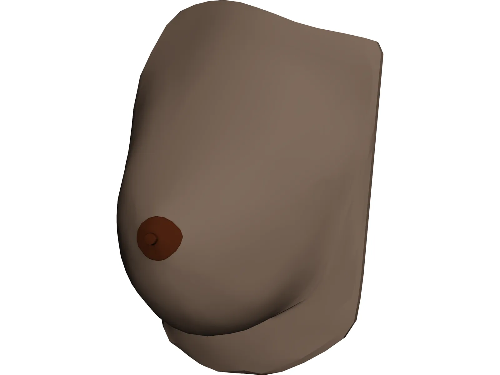 Breast 3D Model