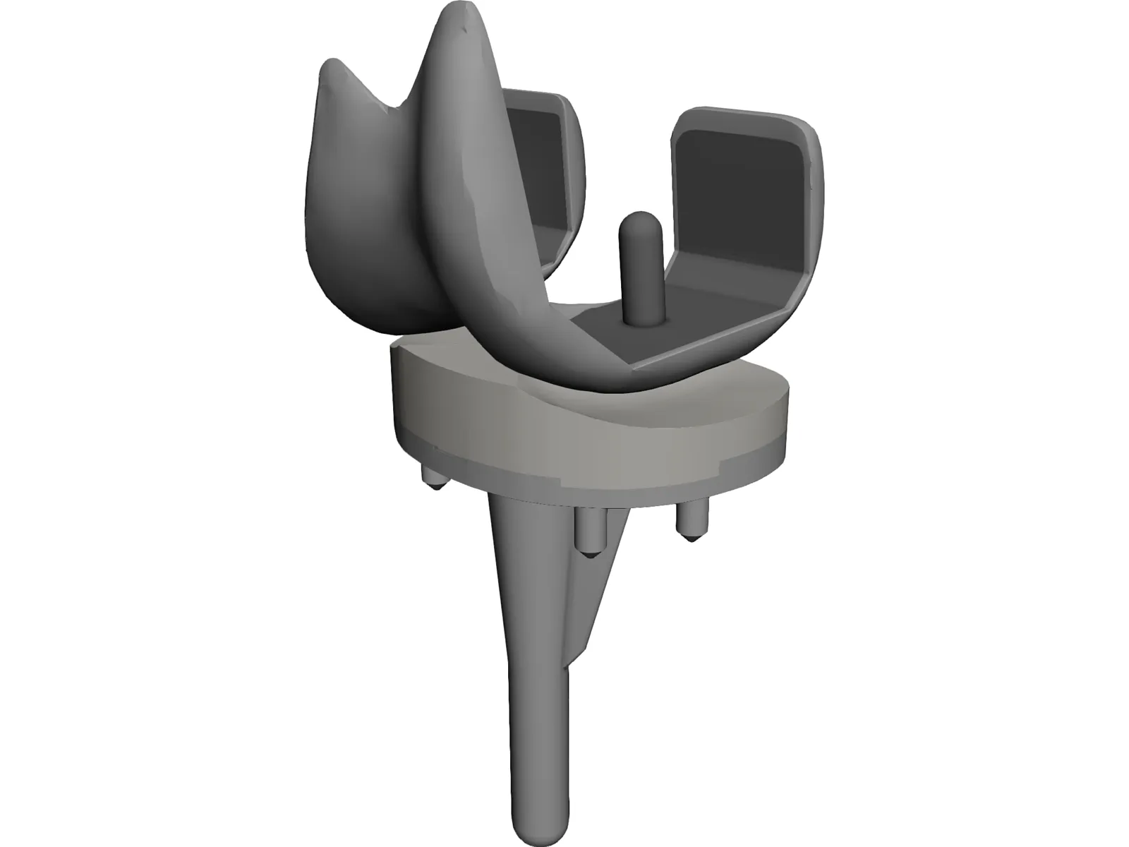 Knee 3D Model