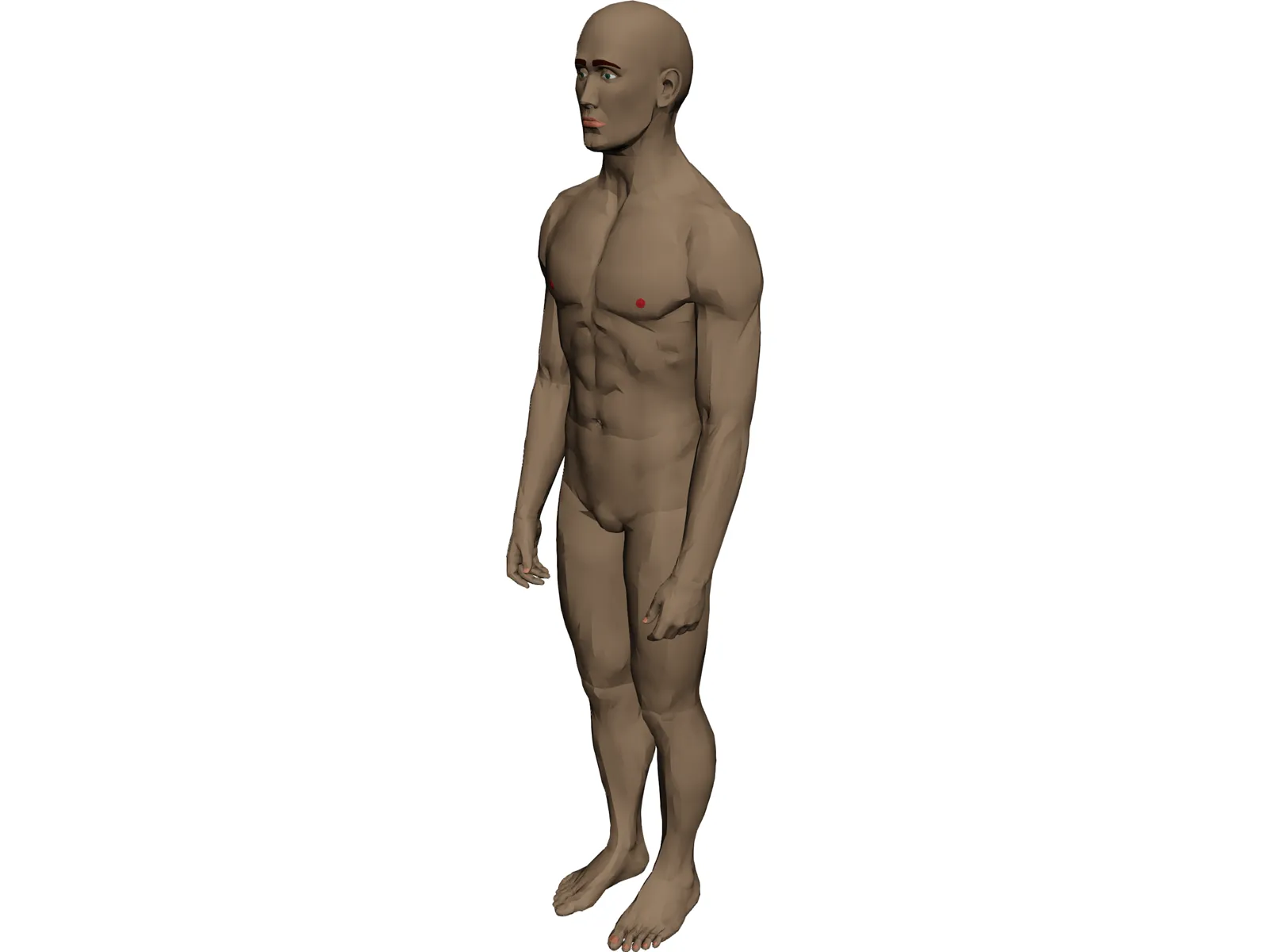 Man 3D Model