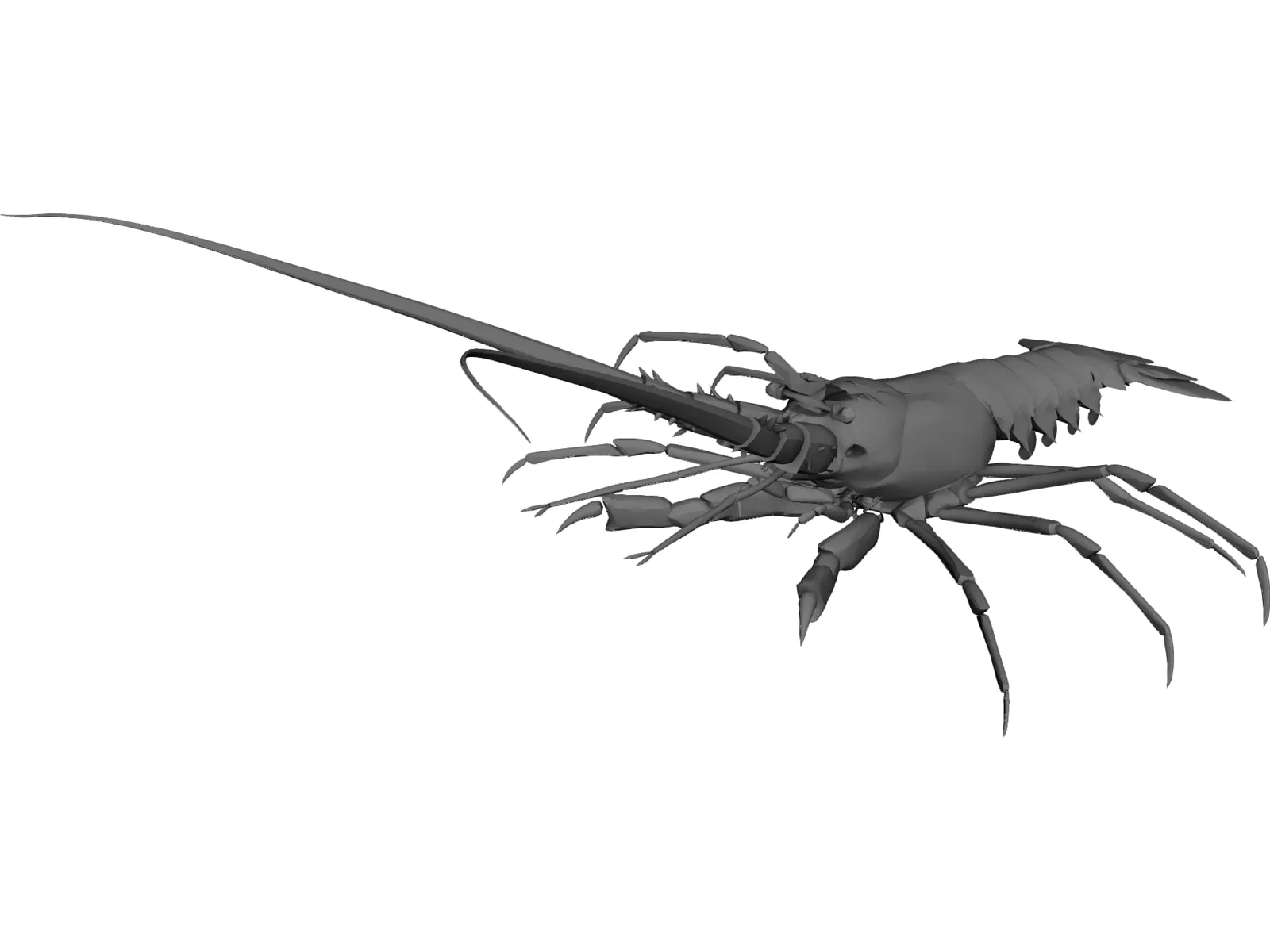 Lobster 3D Model