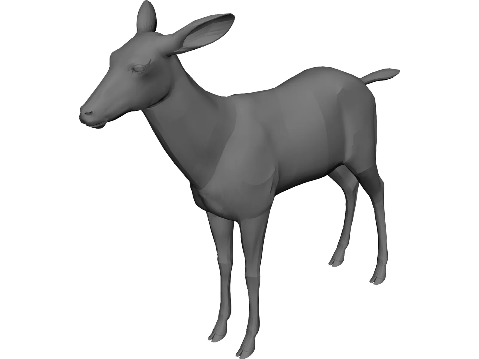 Deer 3D Model