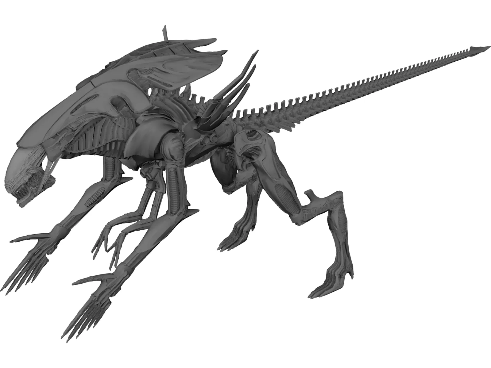 Alien Queen 3D Model