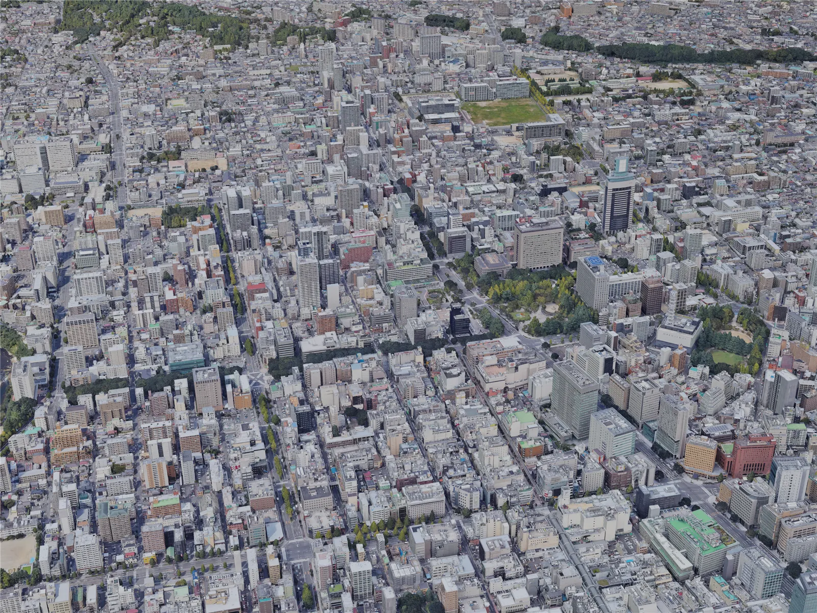 Sendai City, Japan (2022) 3D Model